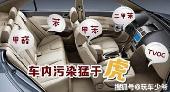 车里有杀虫剂味道，是啥原因呀？