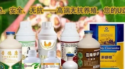 如何挑选性价比高、效果佳、安全的养殖场消毒剂？