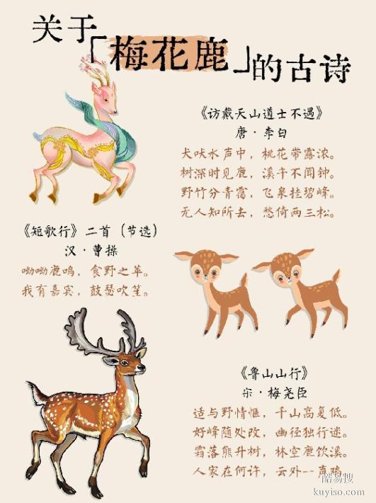 梅花鹿养殖，从选种、饲养管理到繁殖
