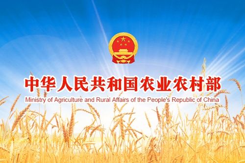 农业农村部2025饲料法规新要求下企业如何确保合规并应对饲料生产管理新挑战？