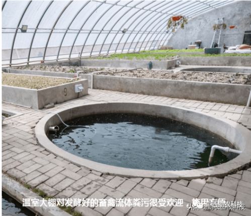 猪场环保管道系统，粪便资源化处理技术