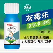 葡萄霜霉病怎么办？这些药剂你备好了吗