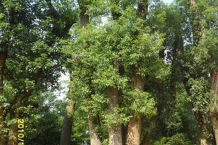 上个月陪李大哥卖种子，同样的量在不同地方差出1500块！