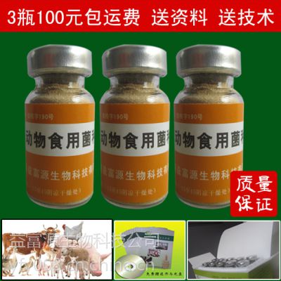 益生菌虽有益，部分菌种养殖需谨慎