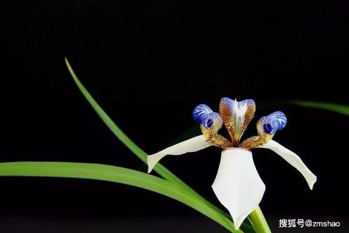 土壤的选择与培养