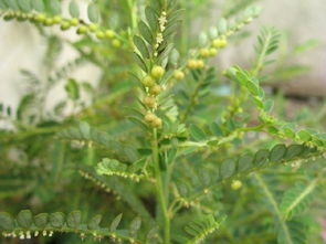 不同地方，价格大不同