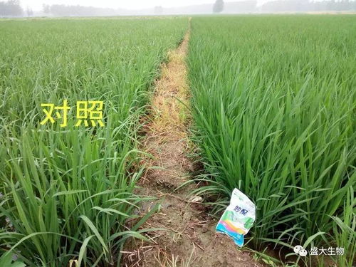 品牌那些事儿