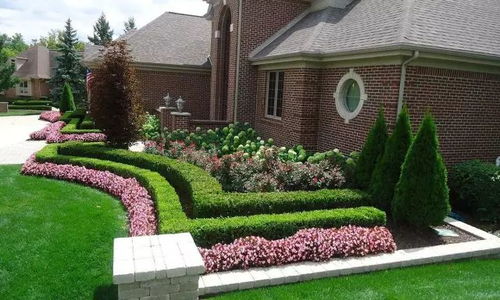 绿篱的魔力：美化家园的秘密武器