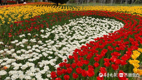 9月植物园的花儿们，你准备好了吗？