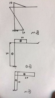 葡萄T型架剪修方法：了解T型架结构