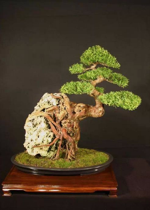 优质石榴石手串， 价格多样