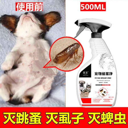 杀虫剂大比拼，谁才是跳蚤克星？