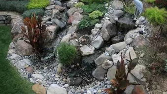 园林中的意境植物， 那些默默讲述的故事