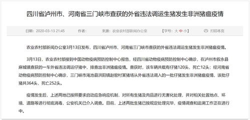 非瘟复产必看！查情配种操作指南