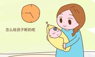 “超早期断奶技术，优化养殖管理效率