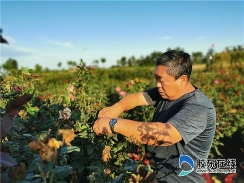 他们有一个共同的名字