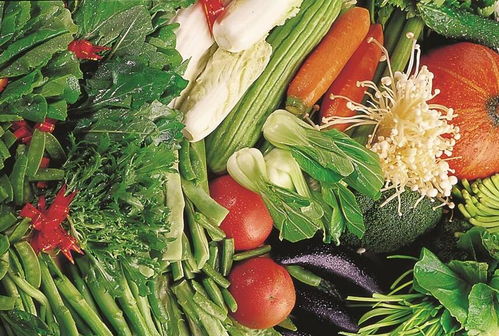 蔬菜早衰，怎么破？