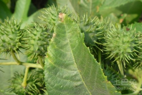 地形与水系的隐藏关联