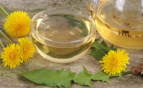 蒲公英茶的制作方法