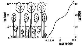 农药分层和破乳的关系