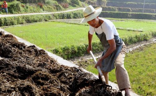 弊：潜在风险，影响土壤健康