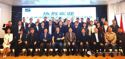 “四季桂花在什么时间以及如何进行最佳剪枝