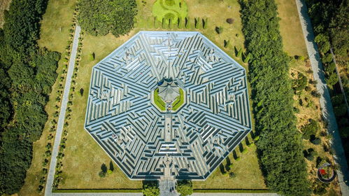 八卦阵的建设， 美轮美奂，犹如仙境