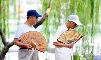 夏日法师养护避“死点”，存活率飙升！