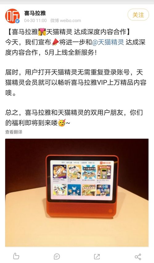 双：枫灵之谜