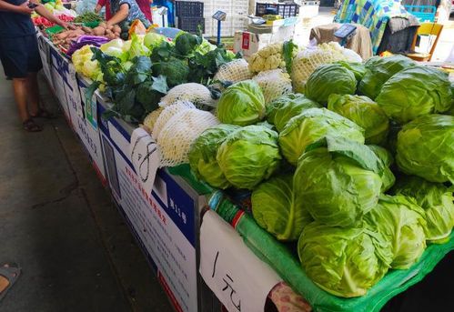 种菜卖，还是跟菜贩联系？