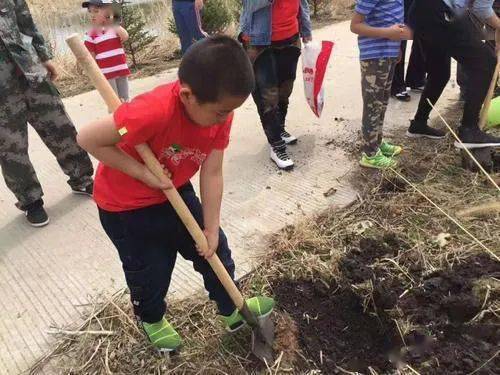 夏季苗木起挖运输， 提高成活率的那些事儿