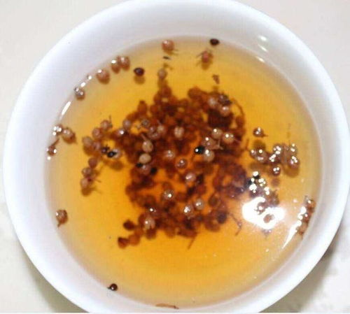 生姜花椒风油精，神奇组合有何妙用