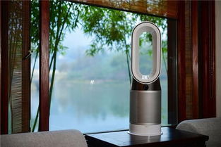 室内养护， 有讲究