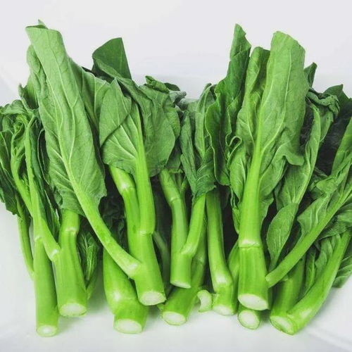 菜心富含多种维生素和矿物质，具有清热解毒、养血明目的功效