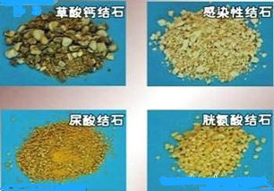 猪饲料分为哪些类别？不同种类的猪饲料有哪些营养成分？