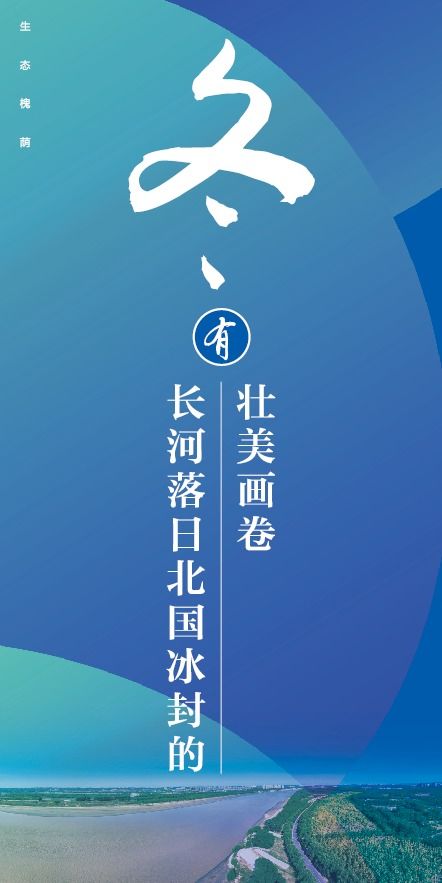 双：玫瑰绽放