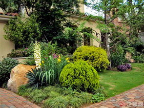 仿生原则与植物多样性