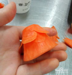 一、 胡萝卜雕刻的基础准备