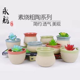 “素烧盆：排水透气，一帆风顺爆款花盆”