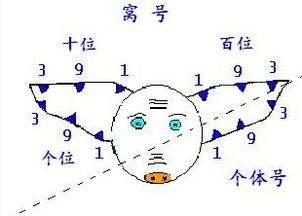 后备猪选留必经过程一：如何精准评估其生长潜力