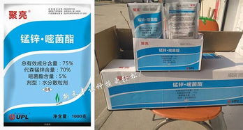 河北杀菌剂费用揭秘：价格大揭秘！