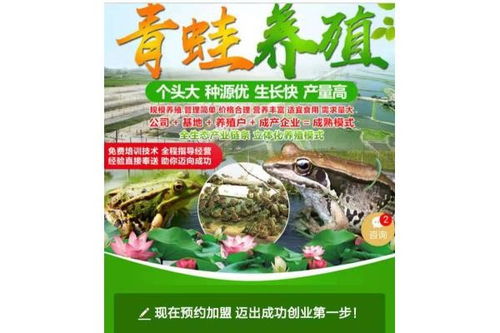 科学饲养青蛙种苗需遵循专业方法，确保其健康成长