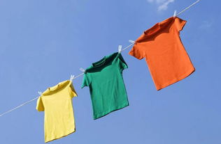 衣服消毒， 平安又保护材质的小技巧