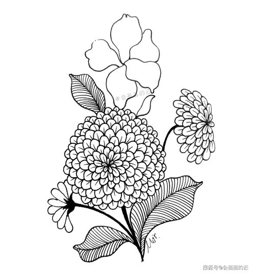 三、 绘画技巧实操