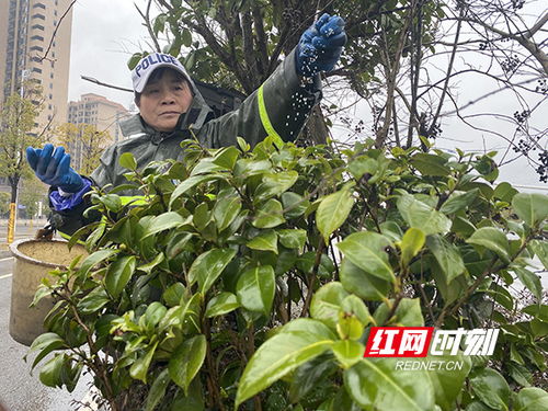 五、施肥的时机，这个关键的关键