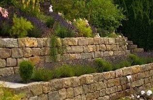 休闲：公园的灵魂