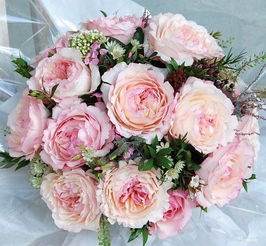 寻找那抹心动——奥斯汀白色系月季