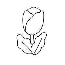 简笔画与植物百科的奇妙结合