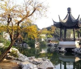 园林设计中植物风水学的神秘力量