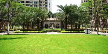 深圳十大景观设计公司揭晓